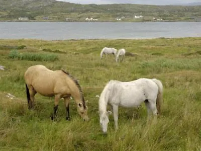 Maol Reidh Hotel 3*