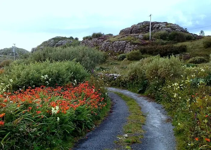 Maol Reidh 3* Renvyle