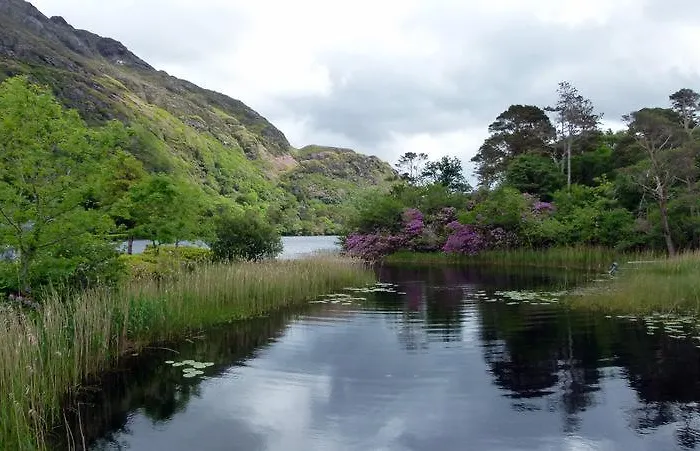 Otel Maol Reidh Renvyle